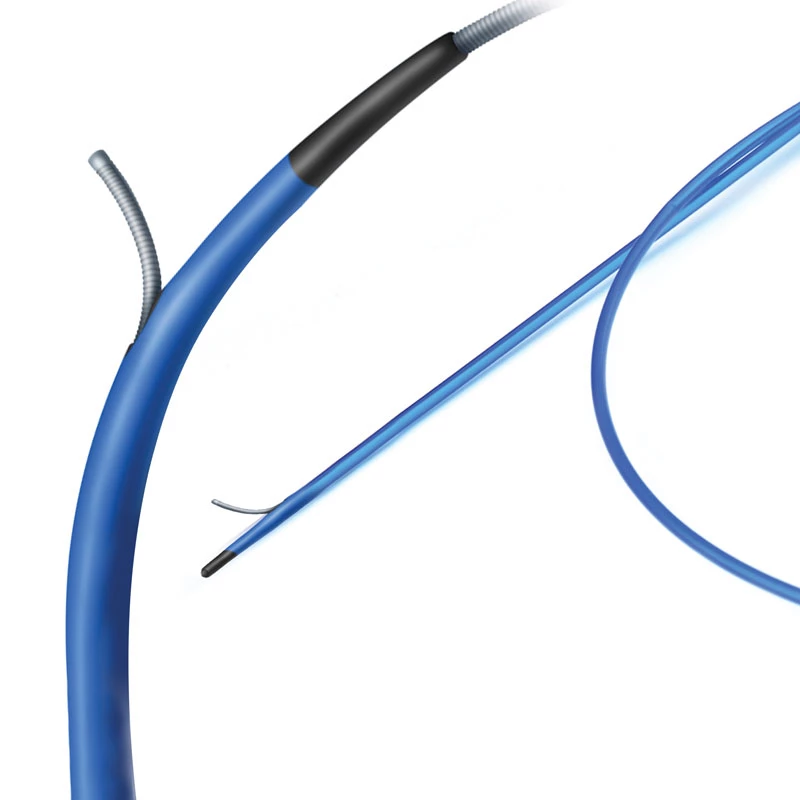 Dolphin XR Re-entry Catheter
