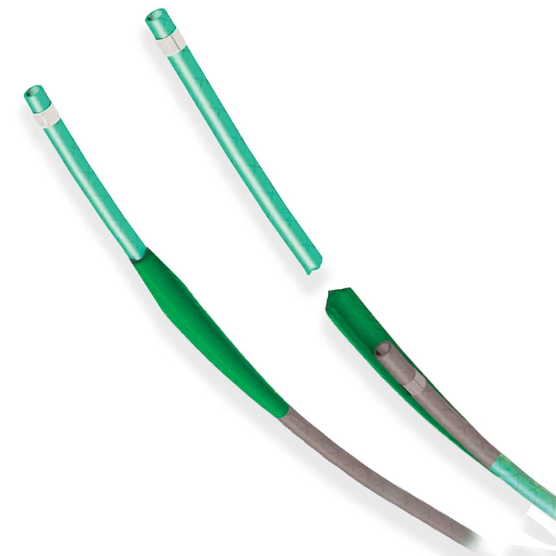 Pars Libro Delivery Catheter