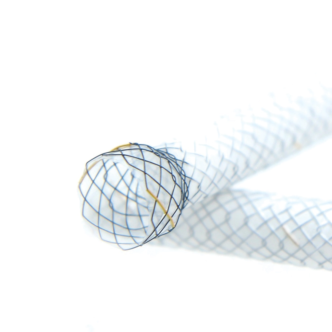 LumiEso Stent Esophageal System