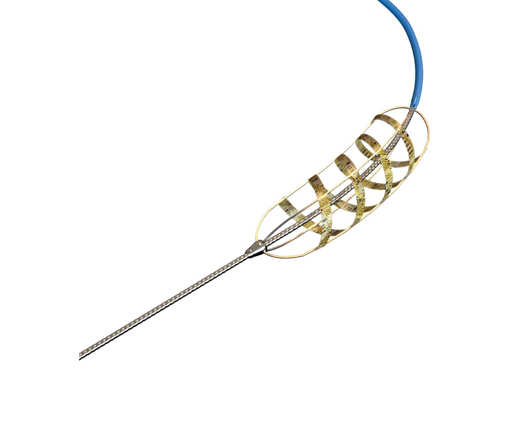 Delta Renal Denervation System