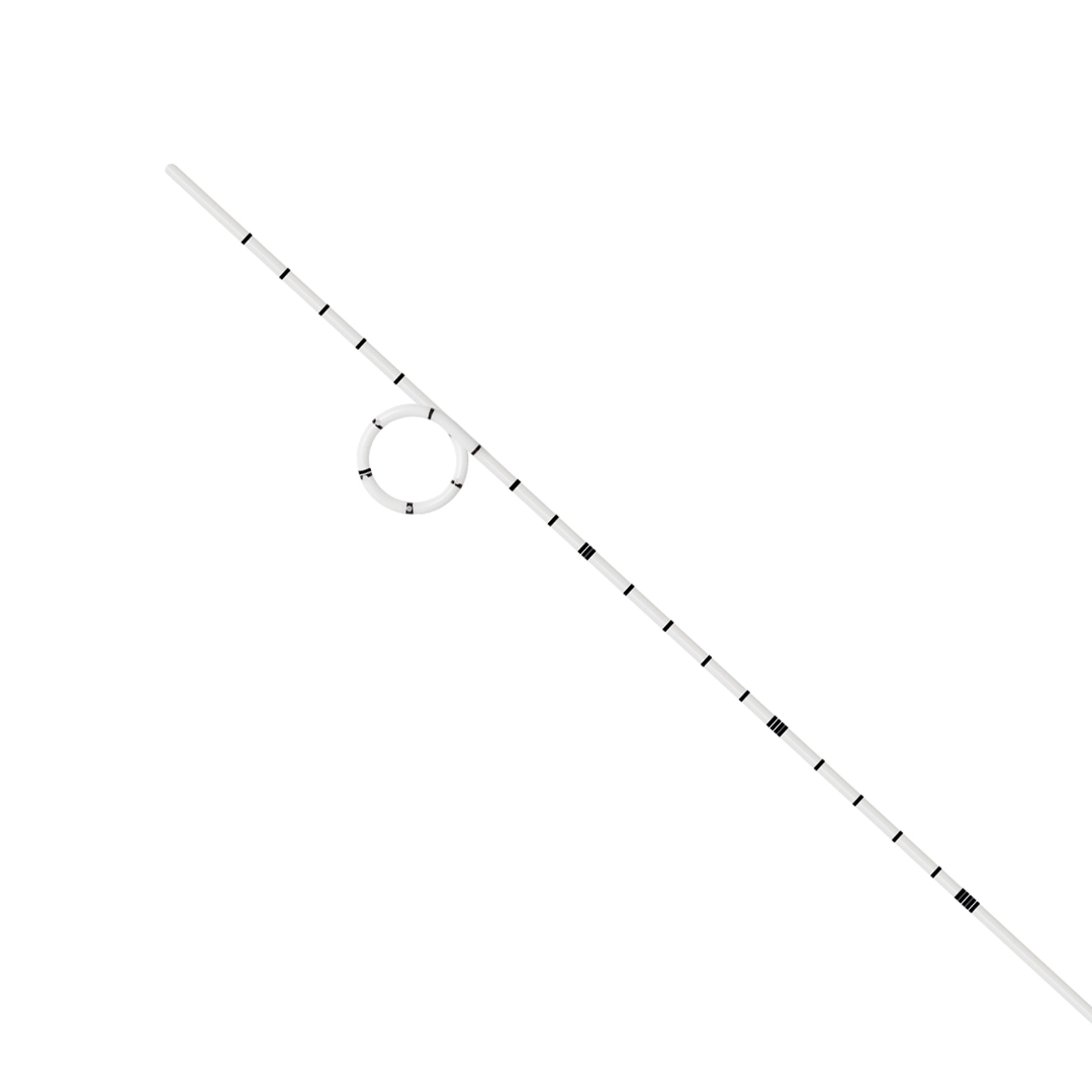 Pelvion Pyeloplasty Catheter