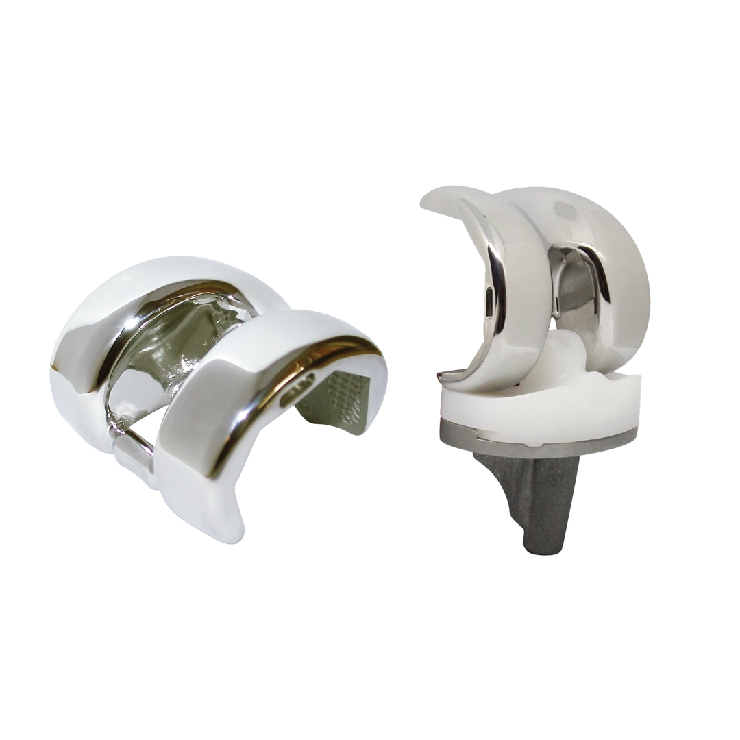 Knee Replacement System