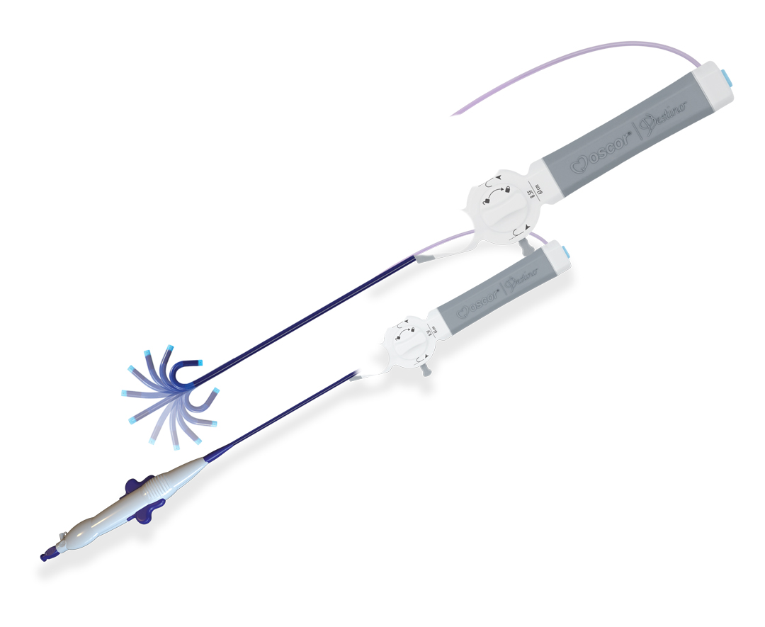 SteerCATH Steerable Catheter