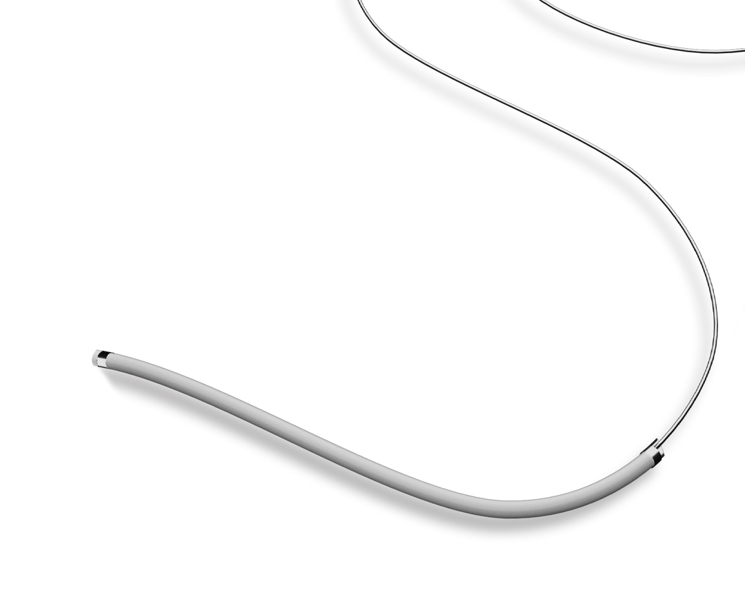 GuideX Extension Catheter
