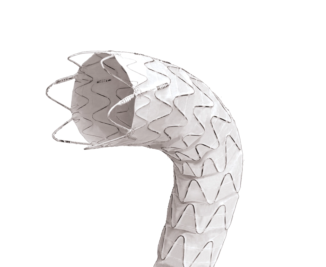 Atlas Coronary Stent Graft System