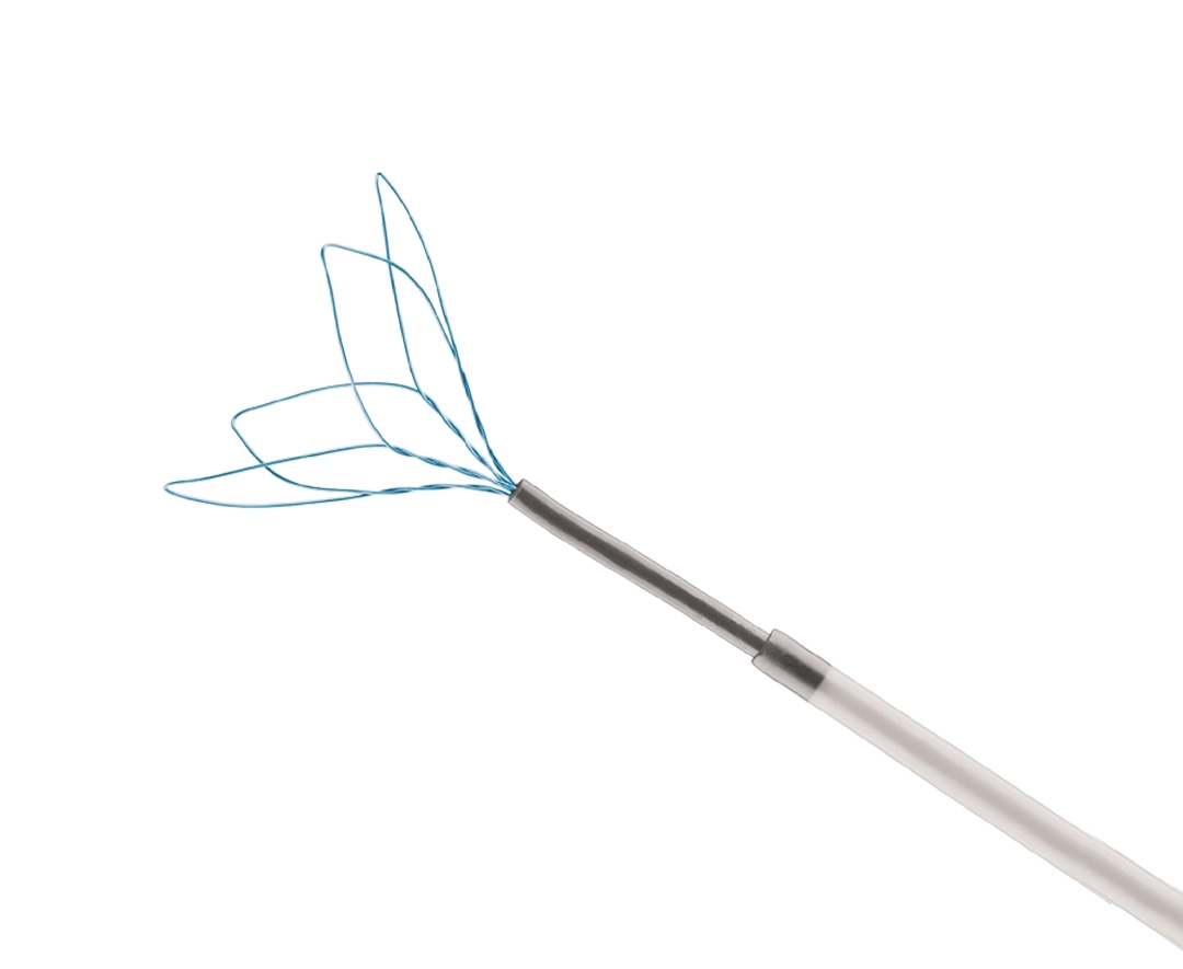 Keeper Endovascular Snare